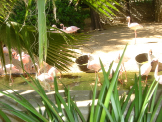 2006-04-08 15-12-00.JPG